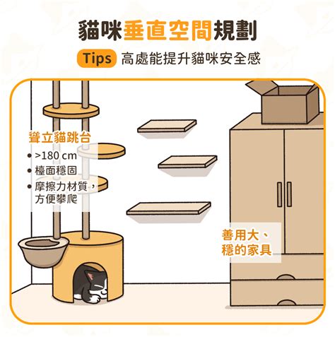 家裡很亂可以養貓嗎|打造舒適貓宅！理想 養貓空間 規劃指南｜汪喵星